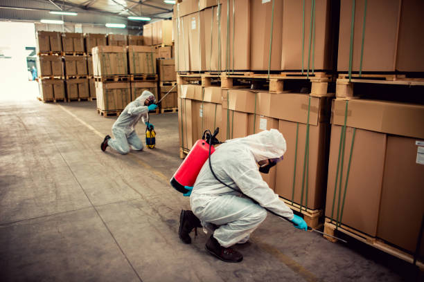 Best Pest Removal Services  in Pikeville, TN