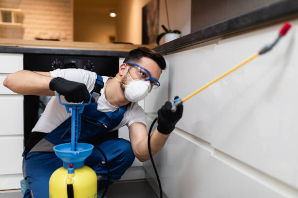Flea Control Services in Pikeville, TN