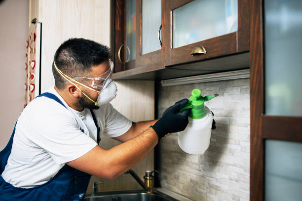 Professional Pest Control in Pikeville, TN