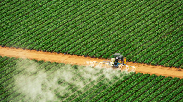 Best Affordable Exterminators  in Pikeville, TN